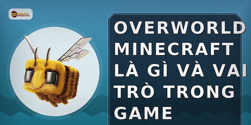 Overworld Minecraft là gì và vai trò trong game