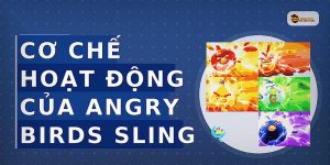 Cơ Chế Hoạt Động Của Angry Birds Sling
