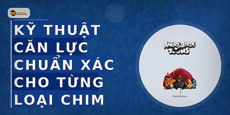 Kỹ thuật căn lực chuẩn xác cho từng loại chim