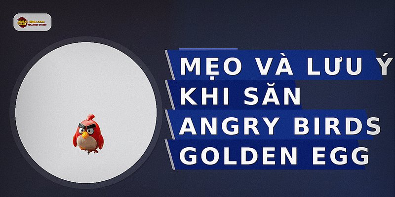 Mẹo và lưu ý khi săn Angry Birds Golden Egg