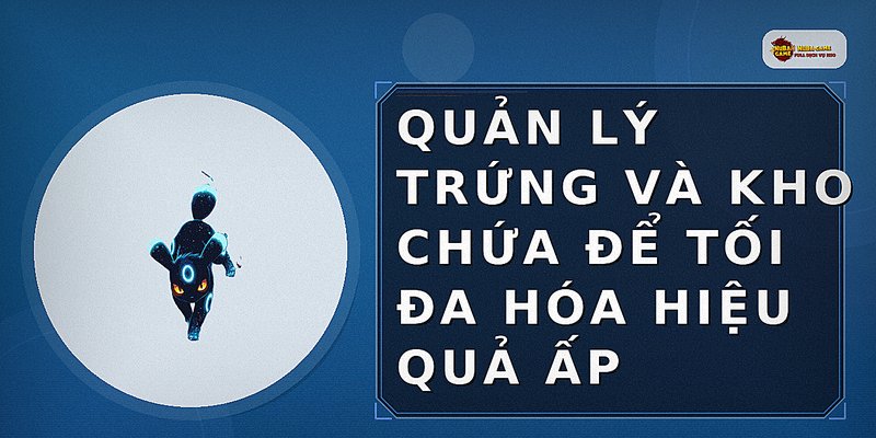Quản lý trứng và kho chứa để tối đa hóa hiệu quả ấp