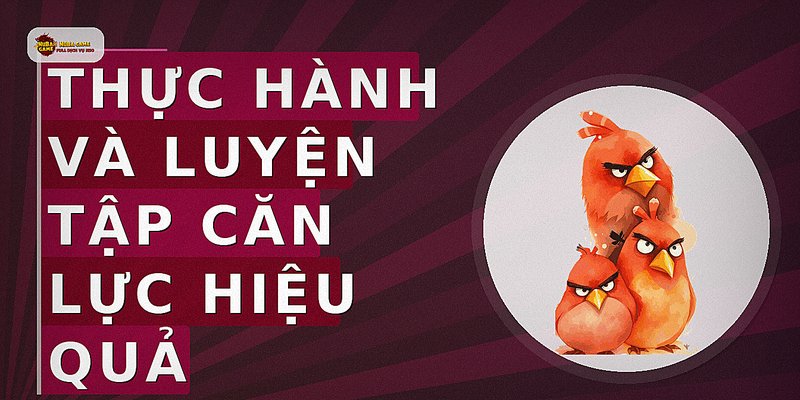 Thực hành và luyện tập căn lực hiệu quả