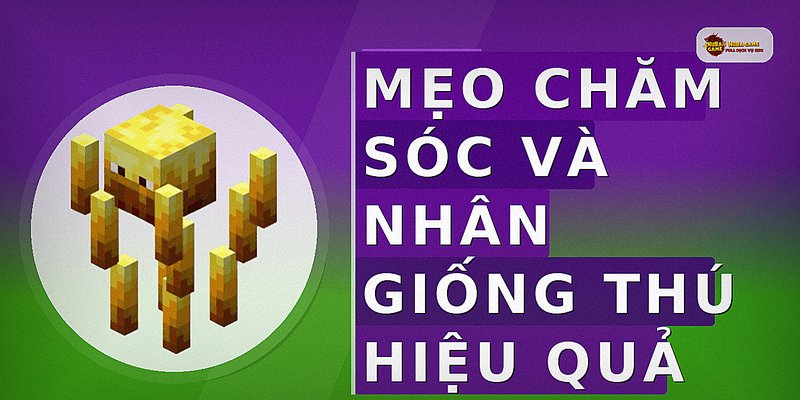 Mẹo chăm sóc và nhân giống thú hiệu quả