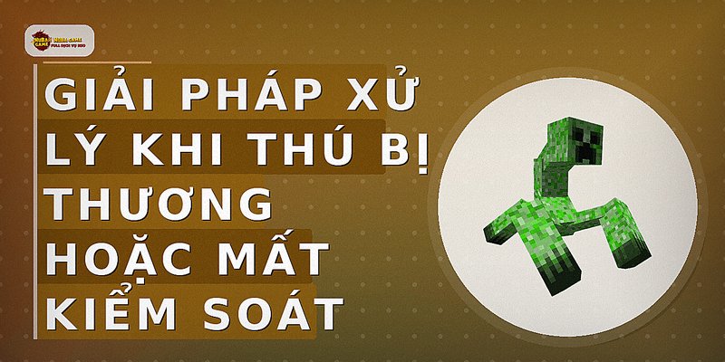 Giải pháp xử lý khi thú bị thương hoặc mất kiểm soát
