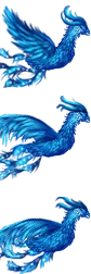 Phượng Hoàng Băng