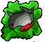 Sashimi