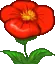 Hoa hồng đỏ