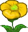 Hoa hồng vàng