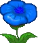 Hoa hồng xanh
