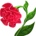 Hoa hải đường