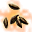 Hạt Cây lương duyên hôn lễ - vật phẩm Phong Thần