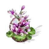 Tên chưa được Việt hóa Phong Thần